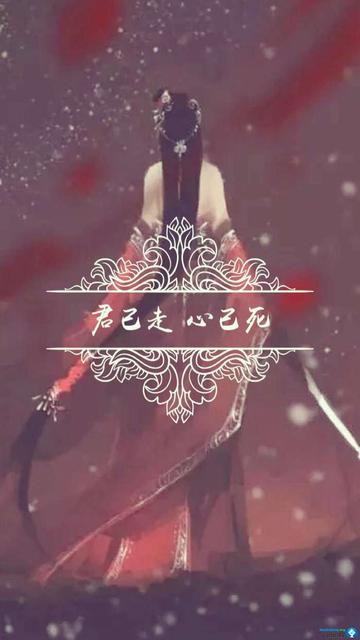 关于我毕业了的句子