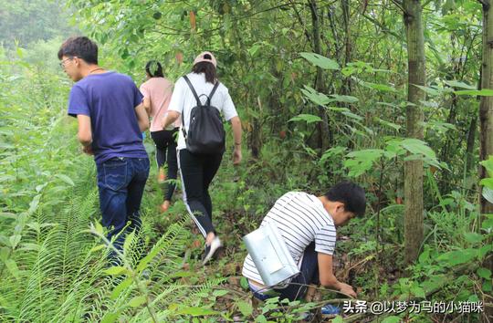 农学专业:5个很冷门的农学专业，其实就业率不错，发展前景也好