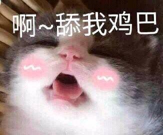 舔宝宝的jio甜咪咪的表情包