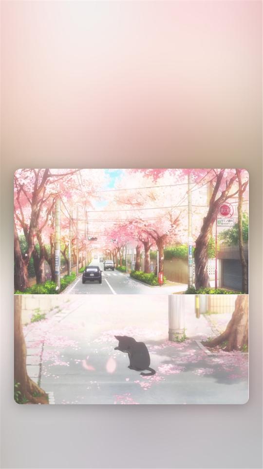 【v粉壁纸】画中画唯美手机高清壁纸