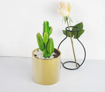 物化和物生哪个好 物生地组合和物生政哪个好