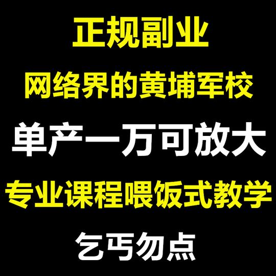 小白零基础创业赚钱项目视频资料大学生副业兼职宝妈在家开店挣钱