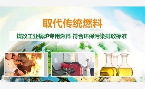 创业选择什么项目好，oubang欧邦新能源全程一站式扶持-零壹cms