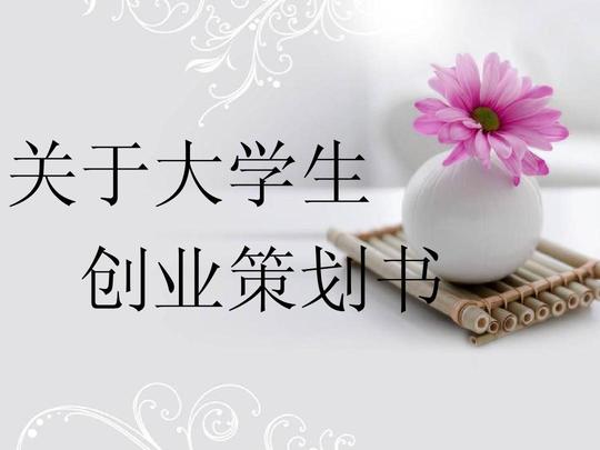 关于大学生创业策划书ppt