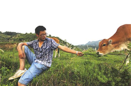 贺根:弃教鞭,执牛鞭,90后牛老大回乡创业年收入千万