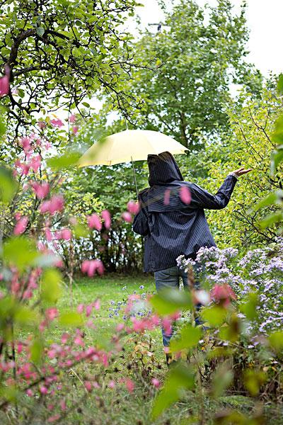 雨_春天_图片大全—全景创意图库（quanjing.com）中国领先的正版图片视频素材网站