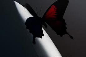 I Cannot Be (A Sadder Song)(Post Malone/Gunna)