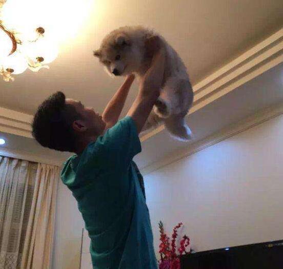和孩子玩举高高究竟好不好