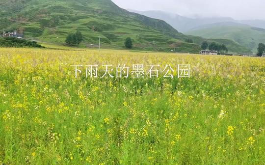 下雨天的墨石公园，结尾有惊喜哦!