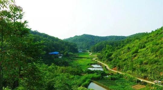 他90天改造一个破农房竟成为京郊爆款小院每天吃山楂掰玉米