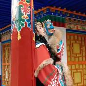 白狐(陈瑞)