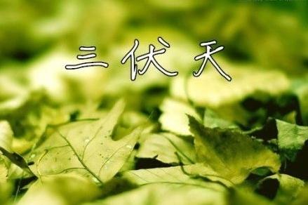 2017三伏天宝宝怎么过