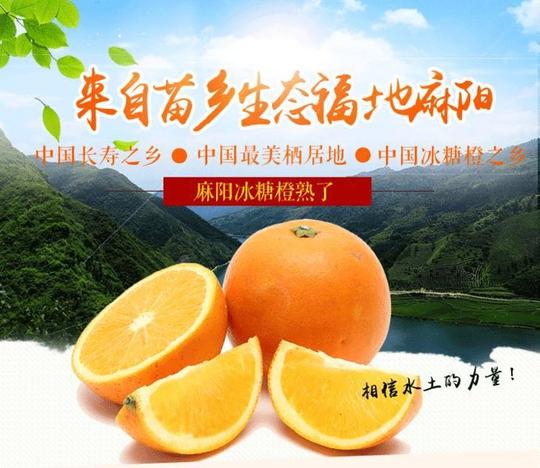 中国冰糖橙之乡苗乡长寿果麻阳冰糖橙橙香四溢甜蜜至极不打蜡不