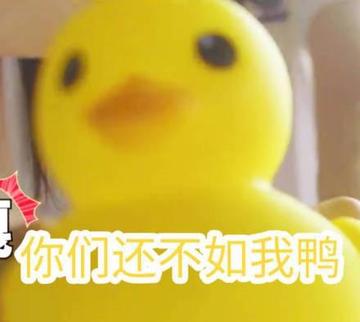 抖音小黄鸭动图表情包