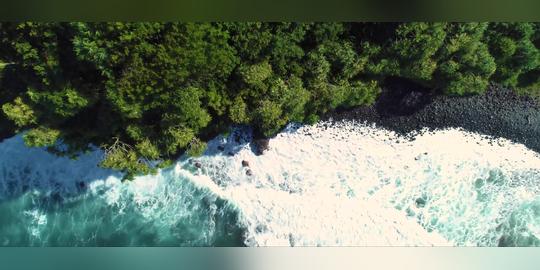 夏威夷自然美景_3840x1600_高清视频素材下载(编号:)