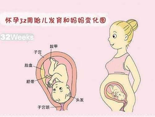 8个月宝宝生长发育指标