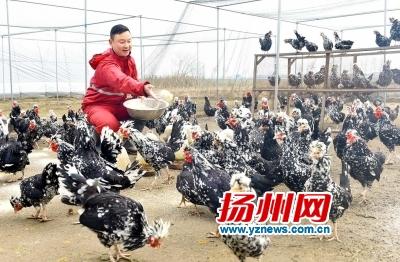 江苏扬州江都区大学生村官创业带领农民致富村官选调
