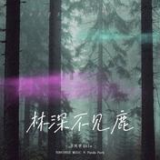 林深不见鹿(王同学Able)