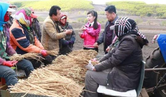 在农村做什么能致富?告诉你农村致富的秘密