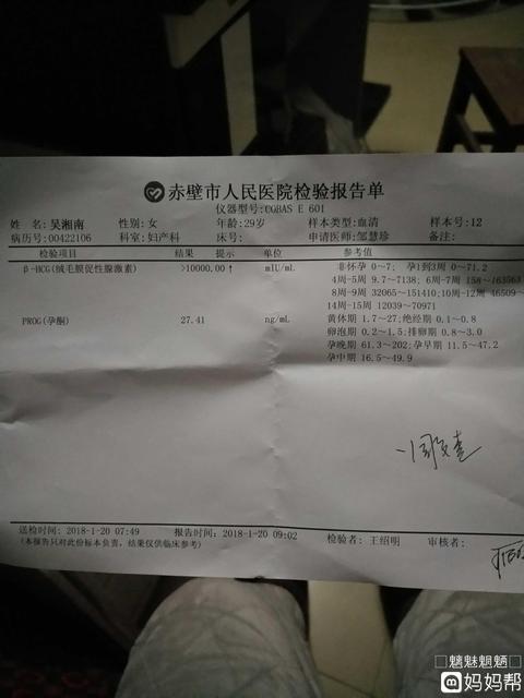 怀孕6周应吃哪些食物最好
