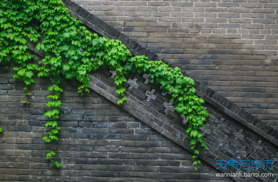 清明节是寒食节演变的吗