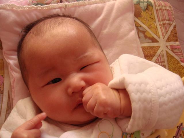养儿方知父母恩的句子