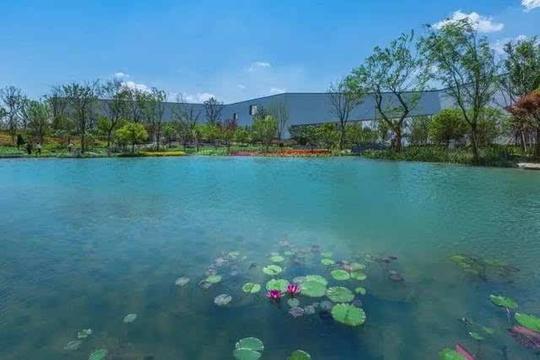 吴中这10个园子或将入选《苏州园林名录》,其中冷门的