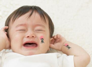夏天婴幼儿如何防止蚊虫叮咬