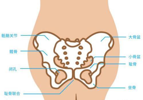 如何有效缓解耻骨痛