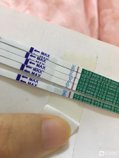 不敢用早孕试纸