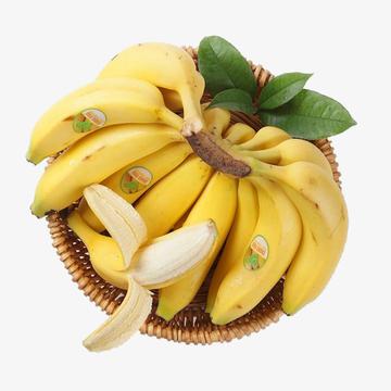 黄色香蕉片图片