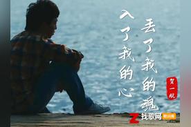 入了我的心丢了我的魂(贺一航)