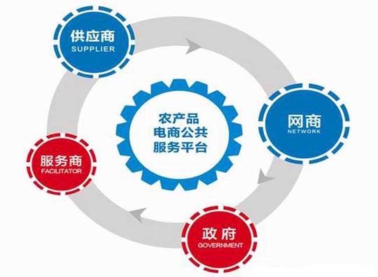 创业,大胆创新,走出了一条具有鲜明地域特色的农村电子商务发展之路.