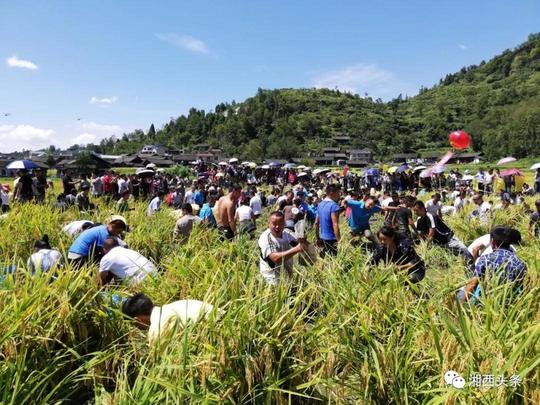 第二届雅沙稻花鱼节创业带动就业巾帼扶贫车间项目签约仪式在雅沙举行