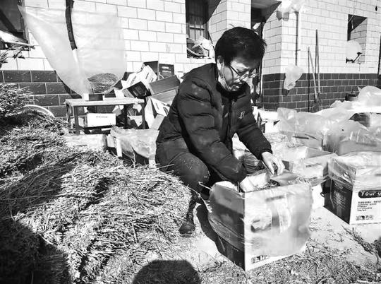一个甘肃村民的创业故事:直播卖宠物草巧致富
