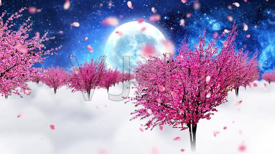 梦幻桃花粒子50秒带花瓣横屏_1920x1080_高清视频素材