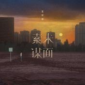 素未谋面(王忻辰)