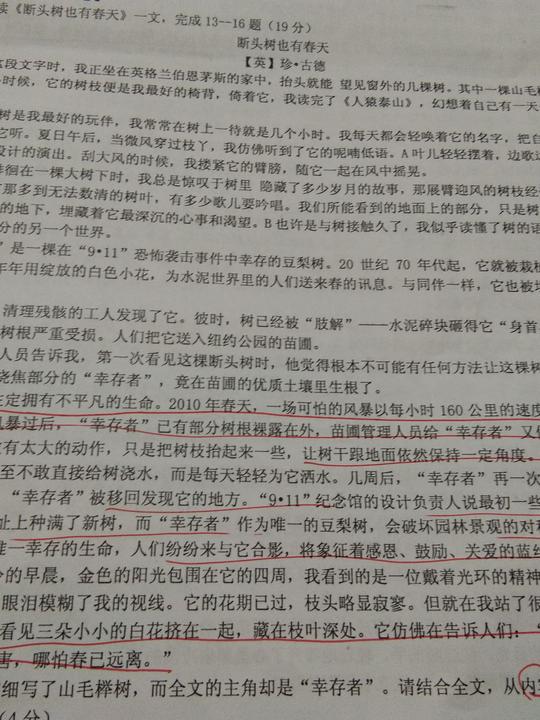 顽强的意志和生命的不平凡