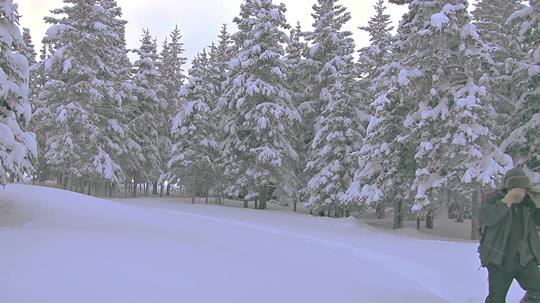冬季下雪的季节_1920x1080_高清视频素材下载(编号:)