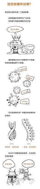 新型冠状病毒适合在什么样的环境下生存