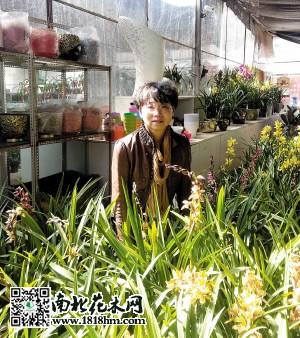 满天星花卉责任有限公司经理杨智华的创业历程