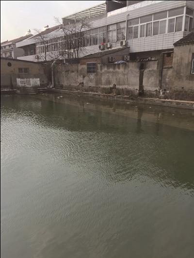常州市首次采用超磁净化工艺进行生态补水不动的"青水"变成了流动的