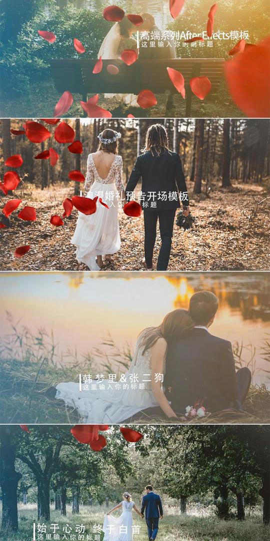浪漫花瓣过渡转场婚礼婚庆婚纱照预告开场ae模板