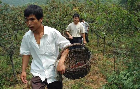 农村这四个赚钱门路,不用本钱,一年也能轻松赚上2万块
