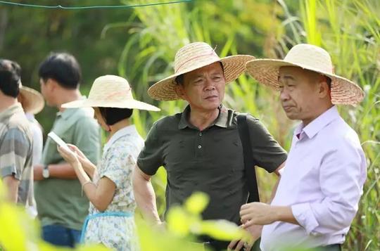 【脱贫攻坚】致富不忘乡亲种桑养蚕大户带动村民发展