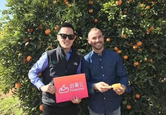 刘子睿是一位台湾商人,对于这位30多岁的ceo来说,整天的工作就是坐