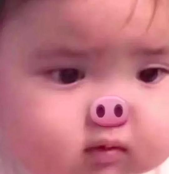 抖音最火沙雕情侣头像表情包图片，猪宝宝.jpg