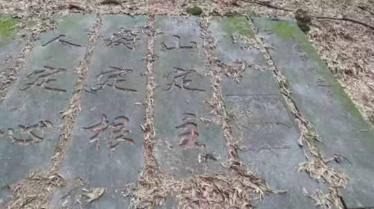 不砍树也能赚钱?这是真的!就在这个地方