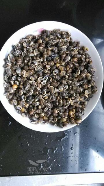 孕期不能吃什么水果