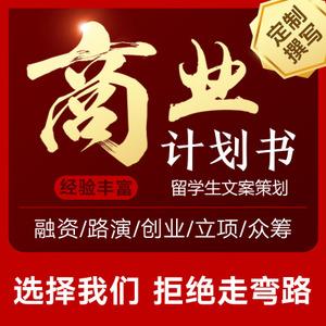 代写融资bp商业计划书项目可行性研究报告创业合作企划书策划ppt